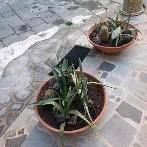 https://11central-house-plebiscito.catania-hotels.net